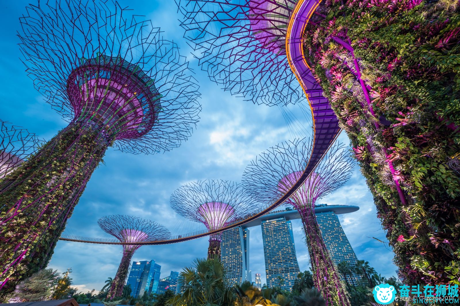 新加坡滨海花园 (2).jpg