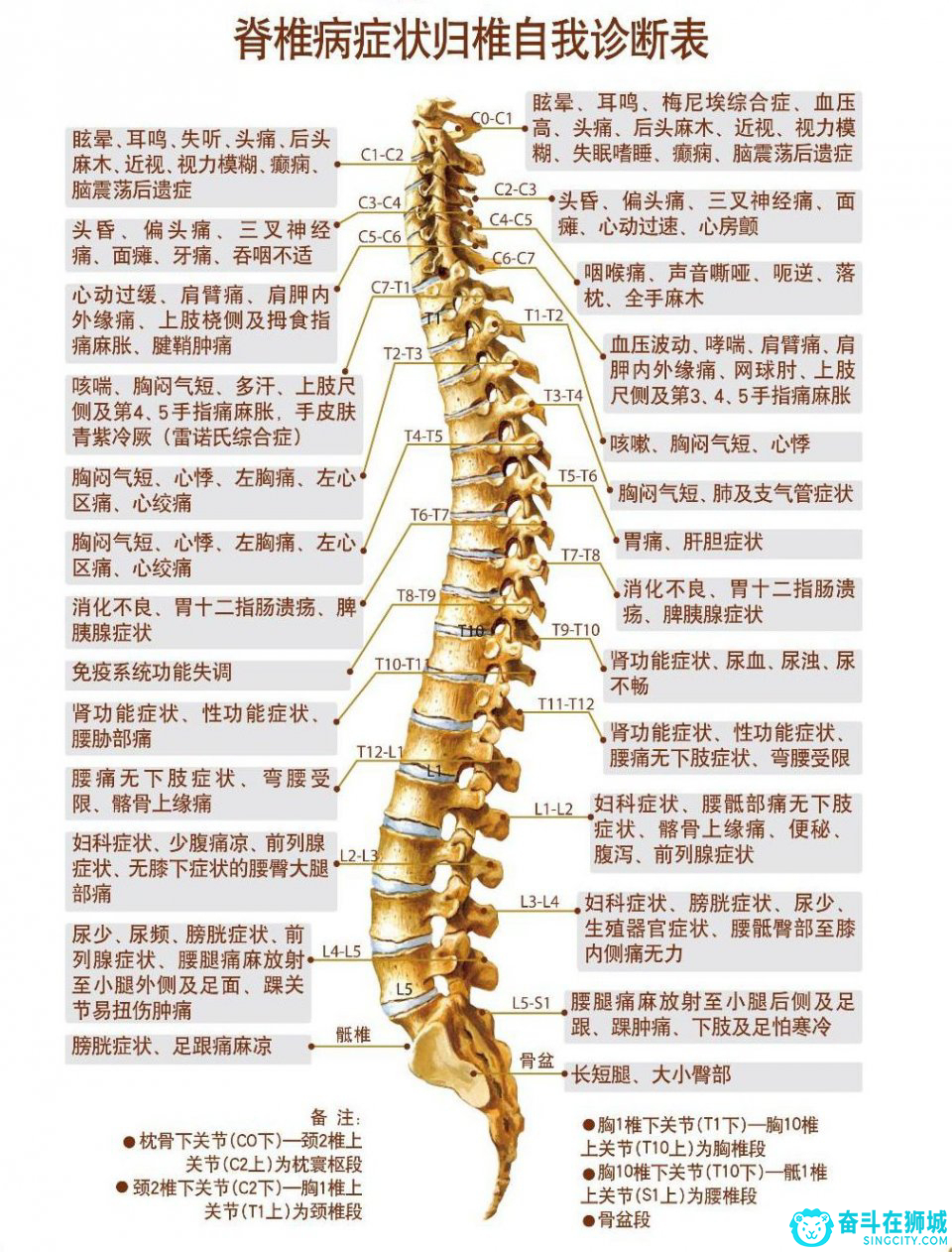 颈，肩，腰,腿痛免费咨询