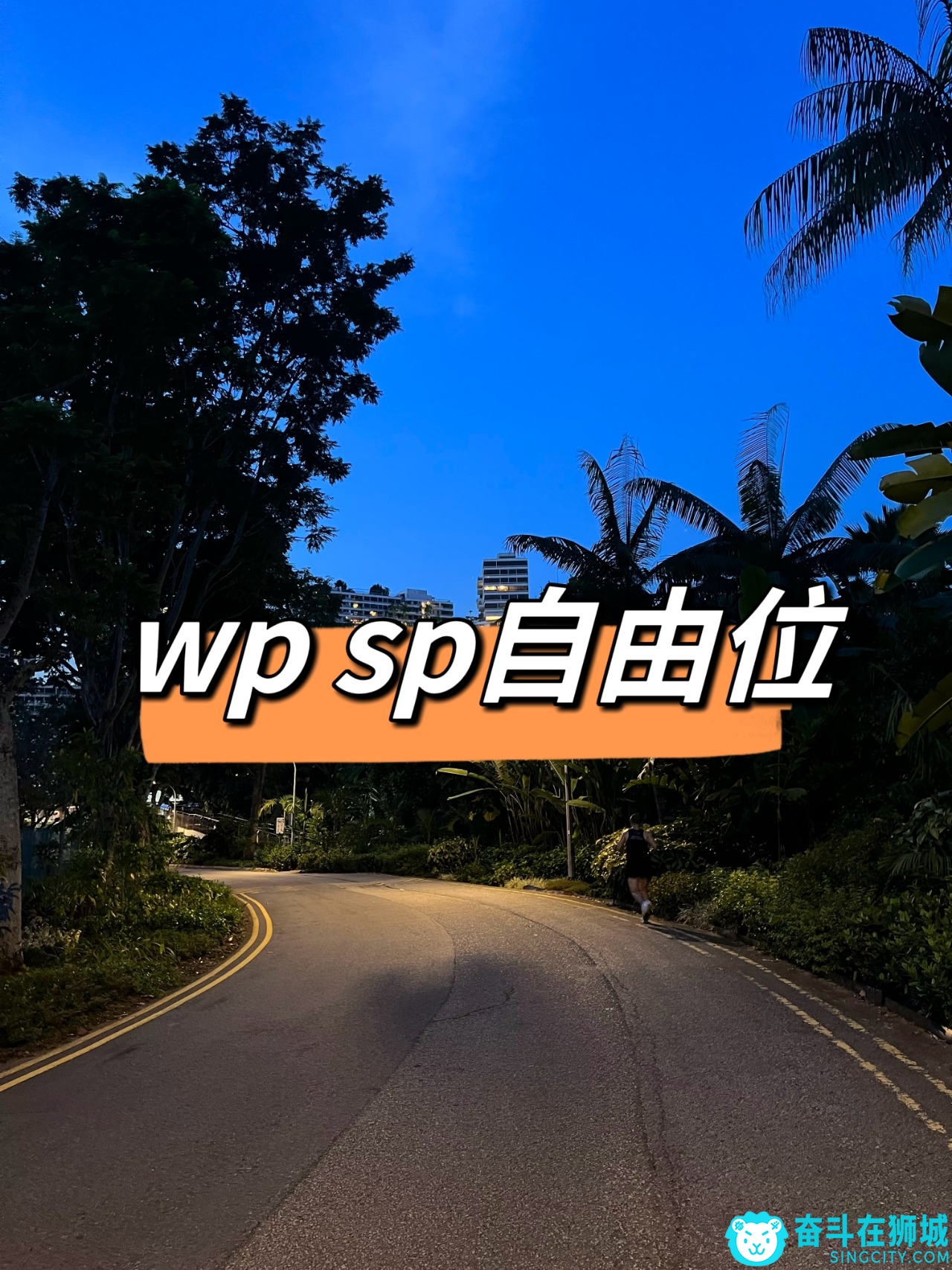 wp sp 本土劳务中介