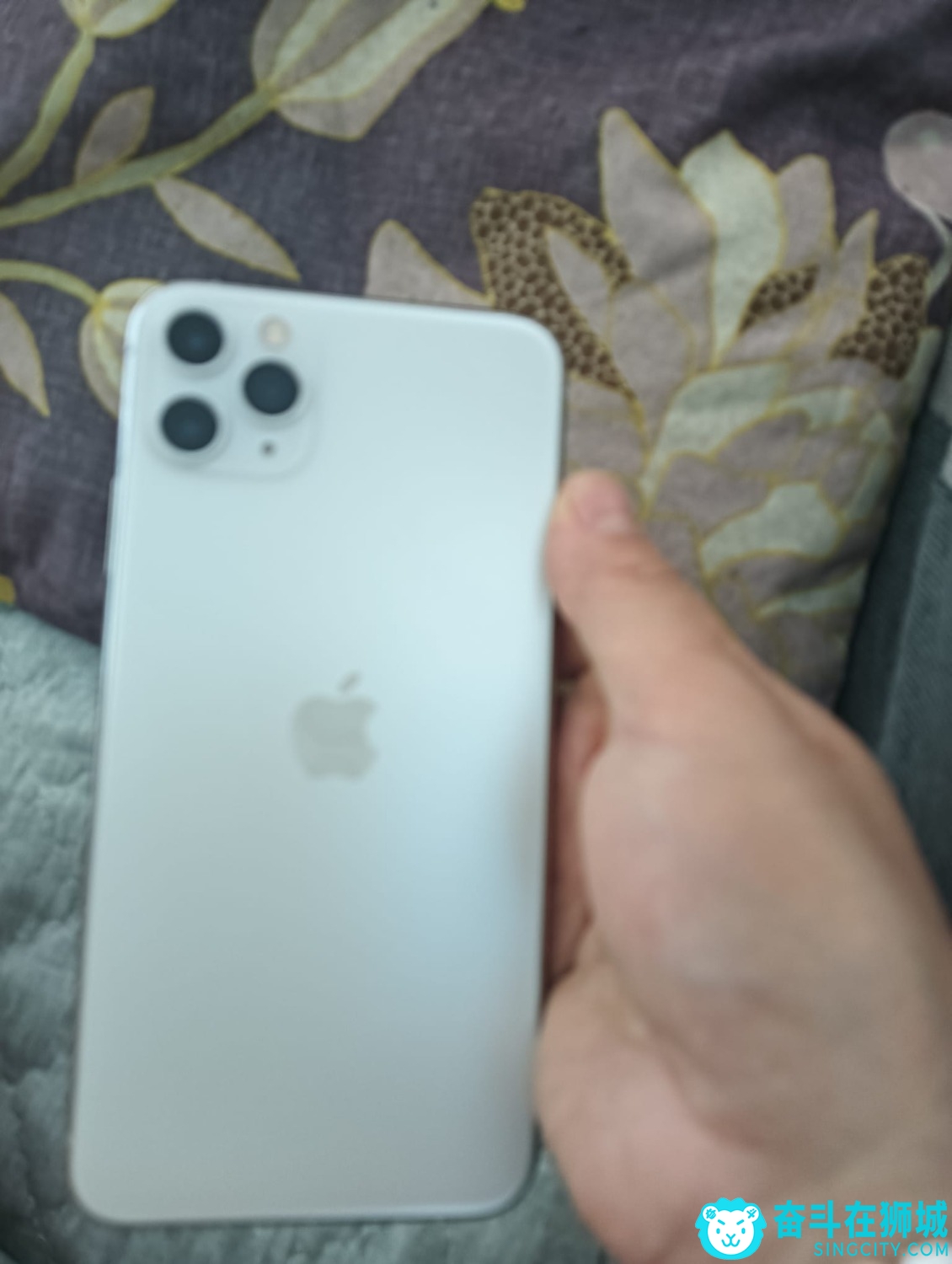 1000064009.jpg