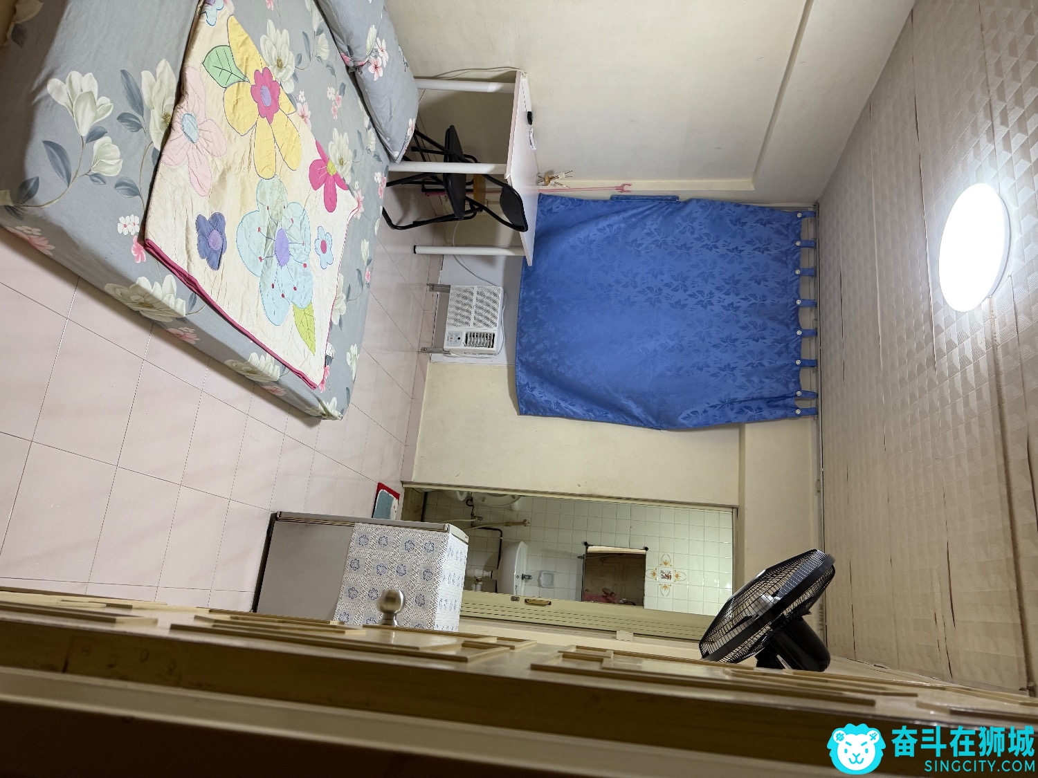 IMG_9955.jpeg