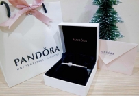 全新pandora，12月10日收到的生日礼物！