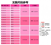 华博基尼向大大内衣 无钢圈聚拢调整型套装