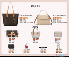 抖音顶流网红直播间抢的香港轻奢品牌包包11件商品