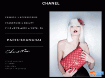 Chanel 品牌大小包，精美眼镜，钱包系列~
