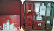 SK 2 Festive Revival Set’12 worth > 600SGD, now only 360SGD