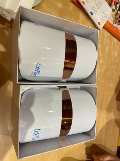 LitePlus+ LED Mask (美容仪）招聘新加坡和中国销售代理