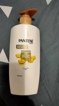 pantene shampoo daily moisture renewal